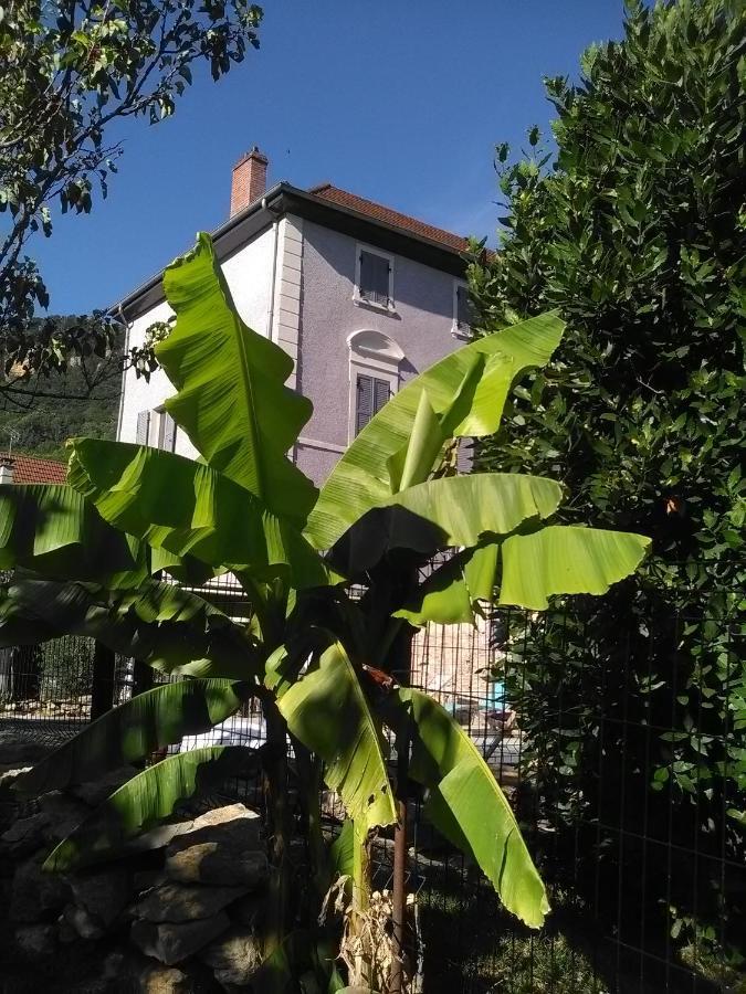A Deux Pas Du Rheby Hotel Villebois Kültér fotó